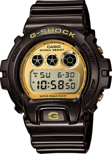 DW6900BR-5 - G Shock | Casio CANADA